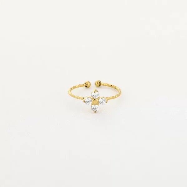 Ring stainless steel